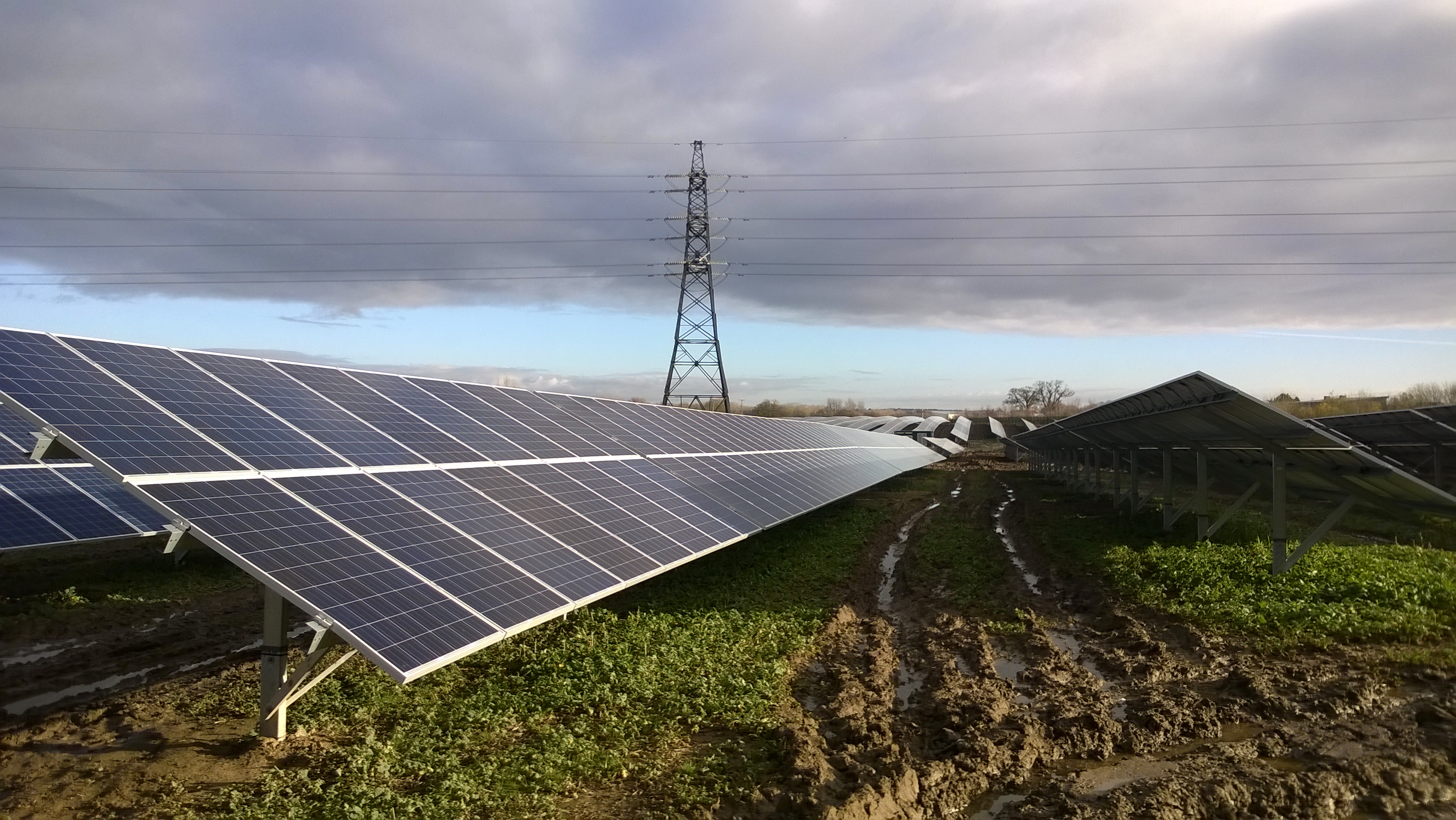 Solar farm powers 800 homes a year 